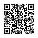 [Ruffy] Detective Conan 336 [GER] - 311 [JAP][DVDRip][H.265][800x592].mp4的二维码