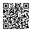 [BB] Fullmetal Alchemist Brotherhood 11 [BDRip 720p] [32565C6D].mkv的二维码